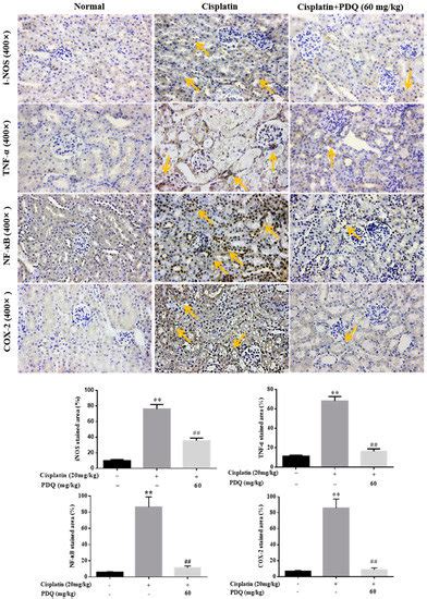 Molecules | November 2018 - Browse Articles