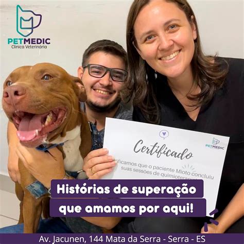 Clínica Veterinária Pet Medic 24h (@petmedic.clinicaveterinaria) • Instagram photos and videos