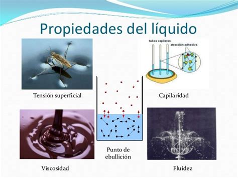 Image result for Apply the Principles of Computer Programming