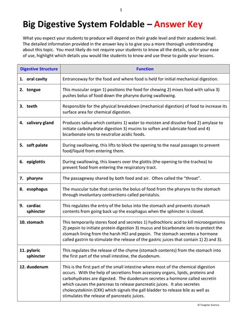 Gizmos Digestive System Answers : Digestive System Gizmo Worksheet Doc ...