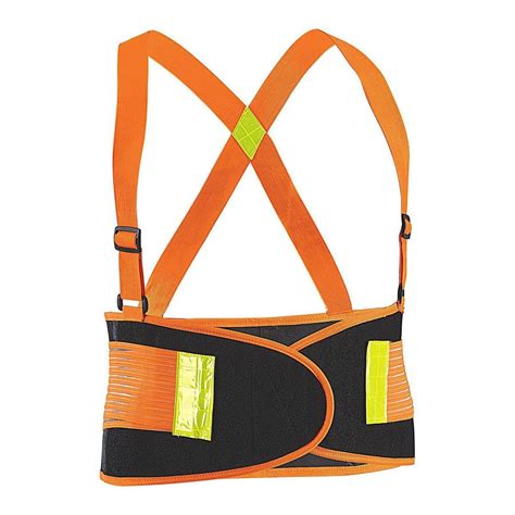 Back Support Belt 的图像结果
