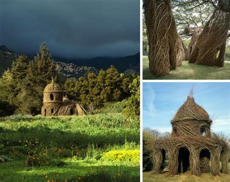 Treehouse 的图像结果