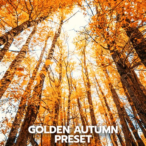 Golden Autumn Lightroom Preset Pack - Run N Gun Photography