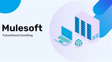 MuleSoft with Python 的图像结果