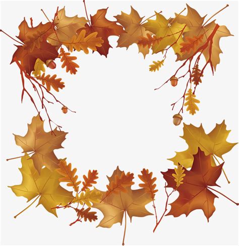 Image result for Maple Activation Code Free