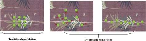 Image result for Deformable Convolution