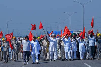 Farmers evolve rotation strategy to balance protests and farming ...