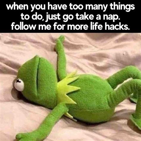 40 Best Nap Memes About Those Mid Day Sleeps