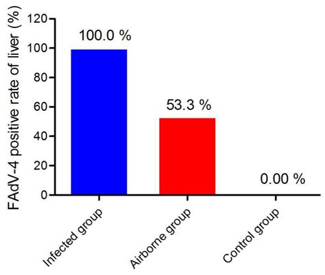 Airborne Transmission of a Serotype 4 Fowl Adenovirus in Chickens