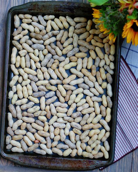 Easy Roasted Peanuts in the Shell - Southern Discourse