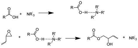 Theoretical and Experimental Insights of Benzimidazole Catalyzed by the ...