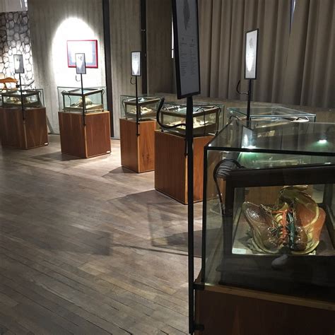 MUSEO DELLE CERE ANATOMICHE - All You Need to Know BEFORE You Go (with ...