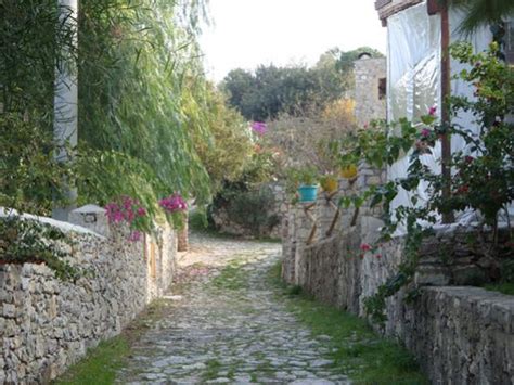 Paint'te resim çalışmalaları/Vildan Sönmez - agaclar.net