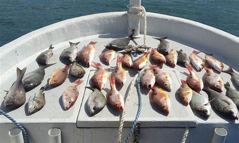 PANAMA BAY TOURS & FISHING (2026) All You Need to Know BEFORE You Go ...