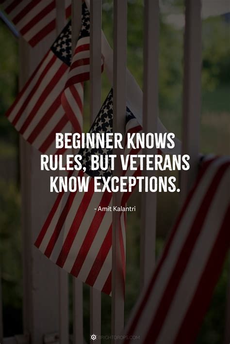 71 Veterans Day Quotes to Say Thanks (with Images) - Bright Drops