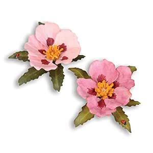 Sizzix Cistus Flower Thinlits Dies, Rock Rose, 10-Pack : Amazon.in ...