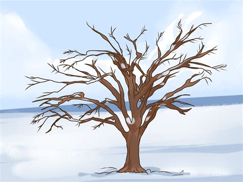 Identify Elm Tree 的图像结果