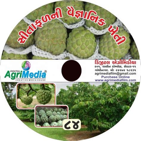 Amazon.in: Buy Sitaphal ni Kheti (Scientific cultivation of Custard ...