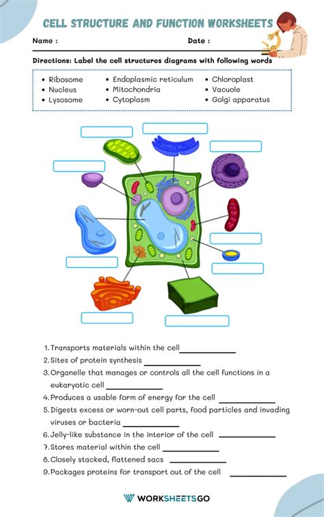 Cell Structure Worksheet 的图像结果
