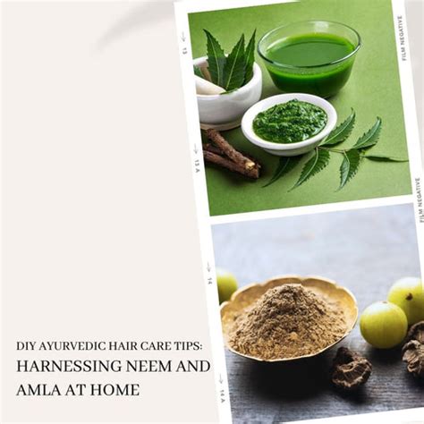 The Ayurvedic Approach: Neem and Amla for Hair Vitality | Clinikally