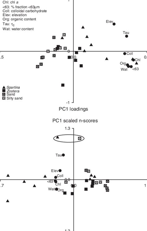 Biplot Interpretation 的图像结果