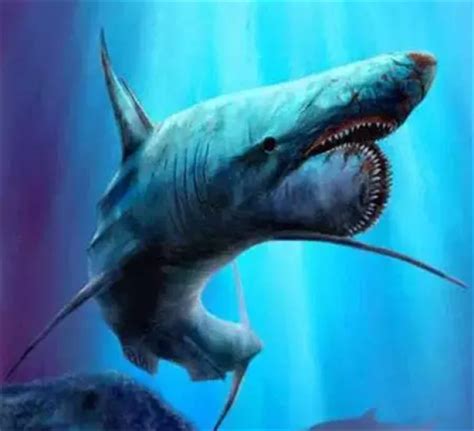 揭开网上卖的霸王龙巨齿鲨牙齿化石的真相_手机凤凰网