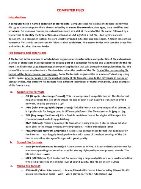 Image result for Example of a File in Computer