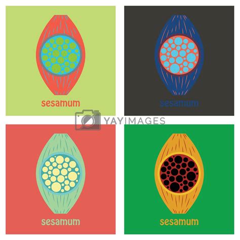 medical,anatomy,callus,articulation,displaced,leg,skeleton,digitorum ...