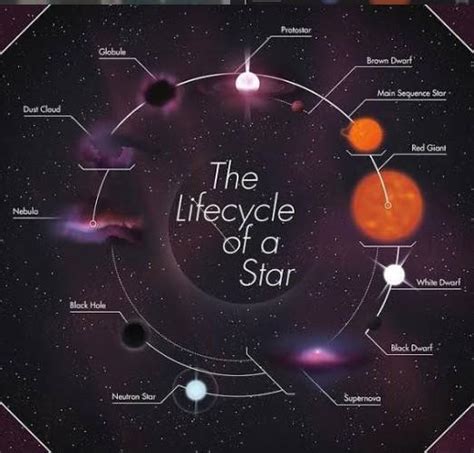 Write a paragraph on the birth and life cycle of star using figure 20.1 ...