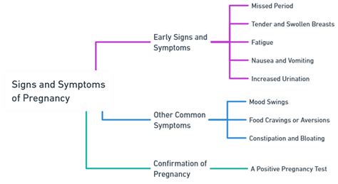 Pregnancy: Signs, Symptoms & Stages | B Pharma | Semester 2 | FirstHope