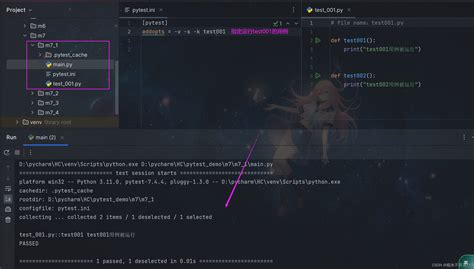 Py.test Python 的图像结果