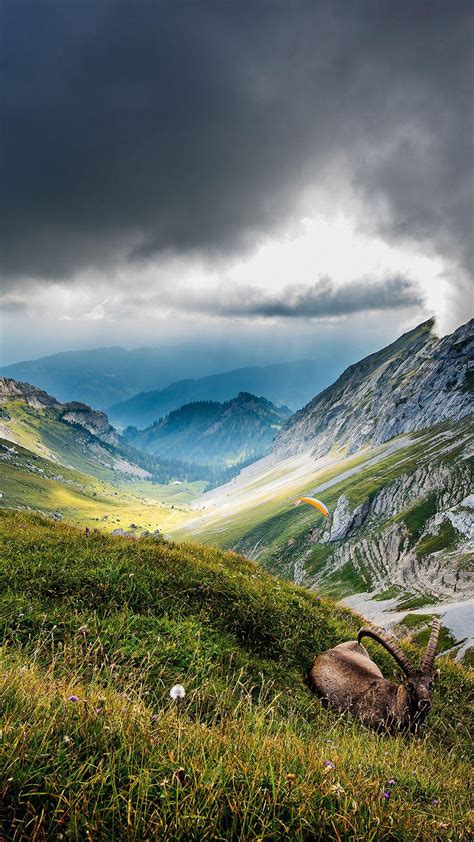 Portrait Landscape Wallpapers - Wallpaper Cave