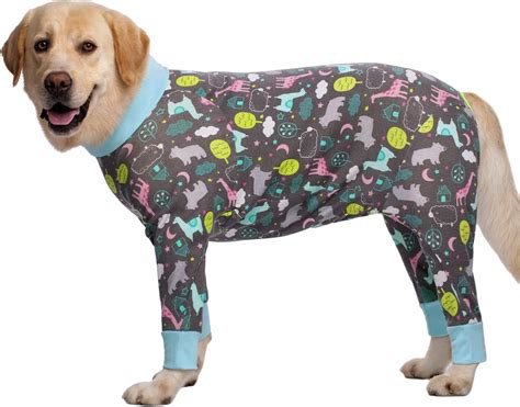 Amazon.com : HEYWEAN Dog Surgery Recovery Suit Long Sleeve Surgical ...