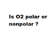 O2 Polar 的图像结果