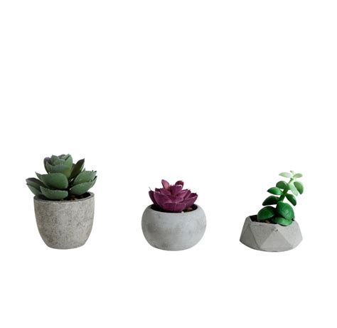 Bonsai Indoor Outdoor Living Plants Set of 3 Variant 1