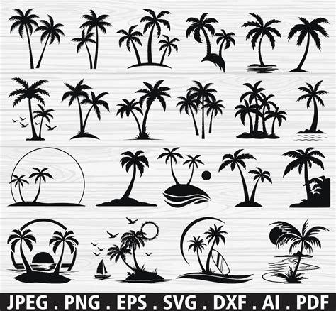 Buy Palm Tree Svg Bundle, Palm Tree Svg, Tree Svg, Palm Tree Clipart ...
