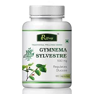 Buy Gymnema Sylvestre For Diabetes Care 100% Natural pac-2 120 capsules ...