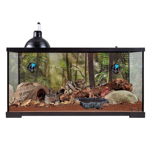 Thrive 40 Gallon Tank Kit - Chelsie Aquarium