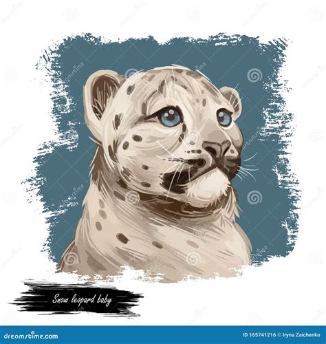 How To Draw Furry Snow Leopard