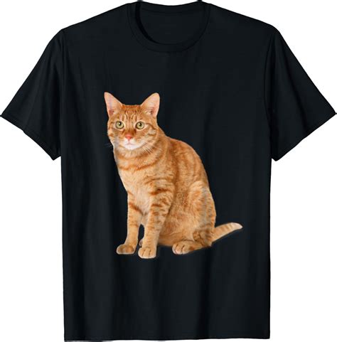 Amazon.com: Orange Tabby Cat T-Shirt: Clothing
