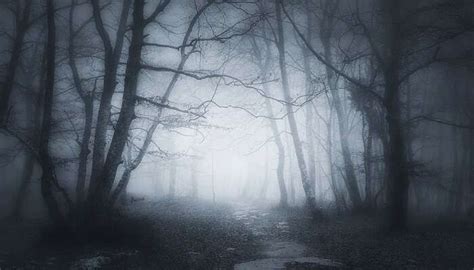 10 Haunted Places In Bangalore (With Photos) In 2026!