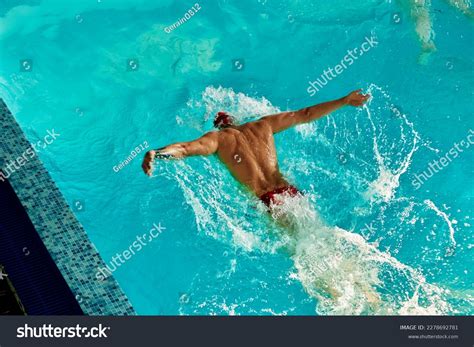 Swimming Men Top View 的图像结果