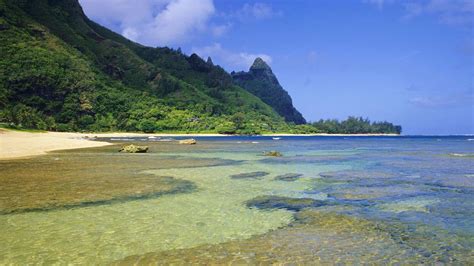 Tunnels Beach Kauai Sharks Snorkeling Kauai, Hawaii | A Guide To The