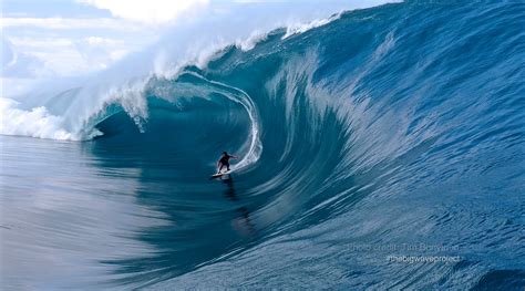 Image result for Wave Button Animation. CSS