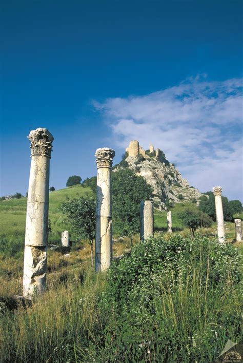 https://adana.ktb.gov.tr/Resim/280284%2Canavarza-orenyeri-jpg.png?0=
