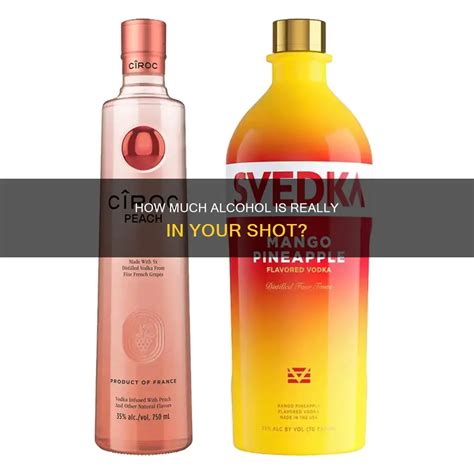 How Much Alcohol Is Really In Your Shot? | CyAlcohol