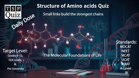 Structure of Amino Acids Quiz: Can You Name Them All? - The Scholar Post
