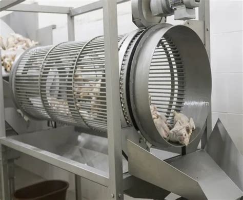 Chicken Processing Plant - Semi Automatic Chicken Processing Plant ...
