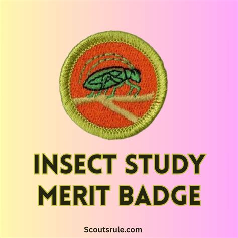 Cycling Merit Badge Guide - Scouts Rule