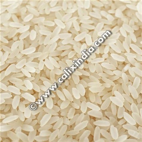 CALIX IMPEX INTERNATIONAL - PRODUCTS